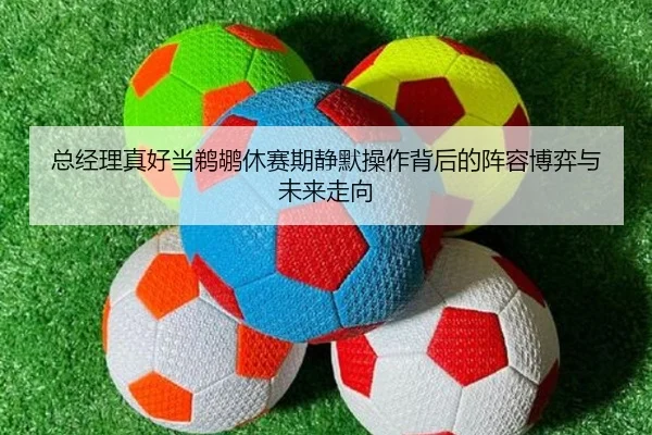 总经理真好当鹈鹕休赛期静默操作背后的阵容博弈与未来走向